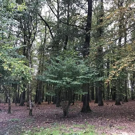 Camping Caravane Residentielle
